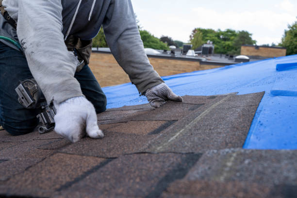 Quick and Trustworthy Emergency Roof Repair Services in Shavano Park, TX